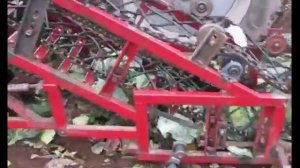 Комбайн капустоуборочный малогабаритный МКК-1