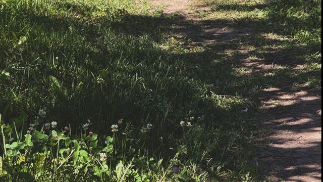 Жизнь и планы