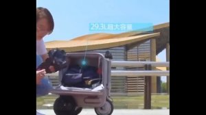 Чемодан - самокат с AliExpress