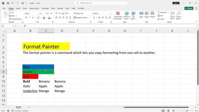 Format Painter In Excel