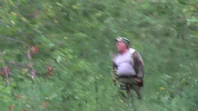 ргПлакун и Красавка 08. 08. 18 г. смотреть онлайн