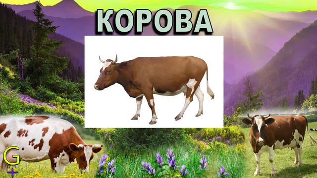 Как Говорят Животные Звуки животных Голоса животных для детей GODIKPLUS смотреть онлайн