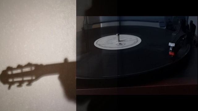 Vinil
