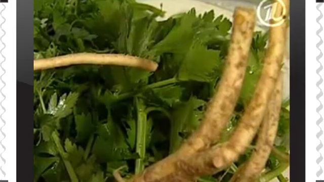 Корень хрена - лекарству замена смотреть онлайн