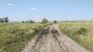 Самый большой в мире слон