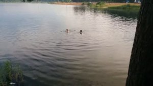 Приехали на карьеры купаться