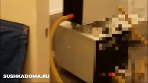 Просушка пола, стен после залива, затопления, потопа https://sushkadoma.ru/ 89680823129