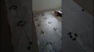 Укладка керамогранита 60 х 60 см.!