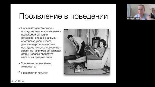 Курс медиация и переговоры. Зачем юристу разбираться в невербальной информации? смотреть онлайн