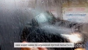 «Знаешь, есть те, кто греет руки свои в карманах...» Стихотворение Ани Захаровой