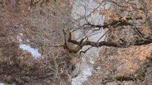 2021г. Долина реки Джаганас. КЧР.