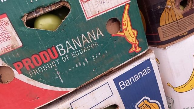 6 ноября 2021 г.Линия Краснодар, сегодня рынок и цены, Фуд - Сити ?????? смотреть онлайн