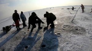 ВОЛШЕБНАЯ ЛУНКА! СУДАК ЗИМОЙ ЛОВЛЯ СУДАКА СО ЛЬДА зимняя рыбалка