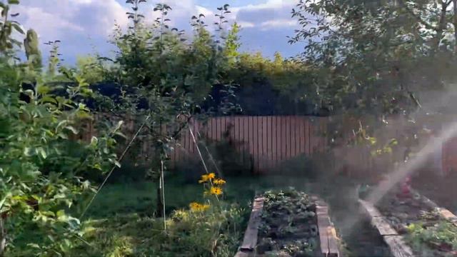 Огородные дела ! смотреть онлайн