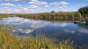 Рыбачим. Речка Гумбейка