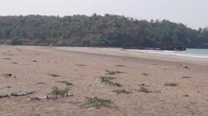 Galgibaga Beach- south Goa- Blue lagoon