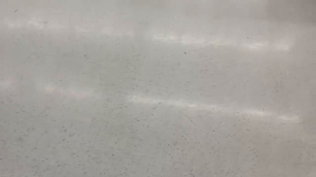 WALMART CLEARANCE!!!🔥 .75 CENT WIPES, DESITIN, JOHNSON'S, DIAL KIDS + $1.50 SLEEP AID!!! смотреть онлайн