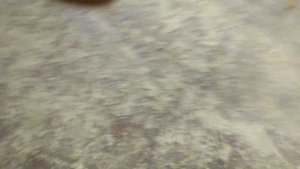 Самодельный мопед с двигателем от мотобура