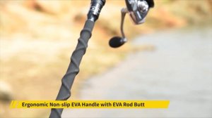 Best Surf Fishing Rods – Review & Buyer’s Guide!