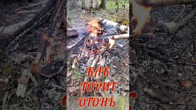 3 вещи на которые можно смотреть вечно смотреть онлайн