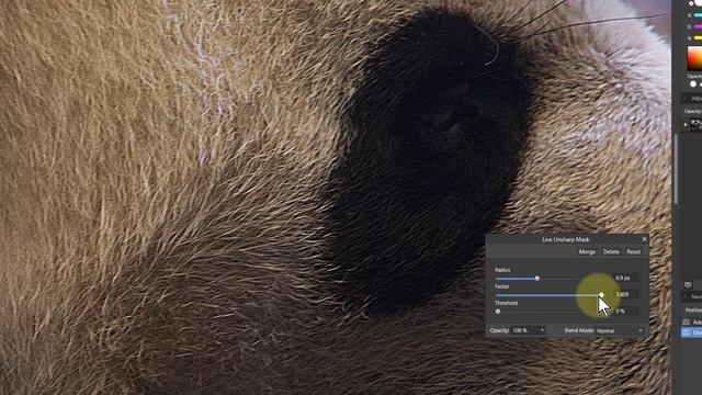 How to use the Unsharp Mask for Sharpening an Image (with Affinity Photo) смотреть онлайн