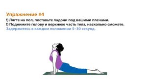 Упражнения на растяжку ног и спины для увеличения роста