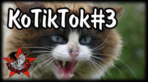 КоTikTok#3