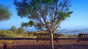 3 месяц воздержания, новые навыки, новые дела, новые возможности!