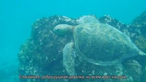 Значение имени Таисия. Толкование, судьба, характер