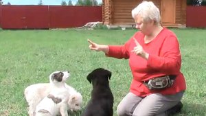 Приветствую всех на моем канале