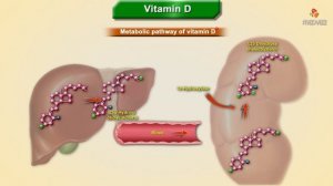 Vitamin D (calciferol): Sources, Synthesis, Metabolism, Functions, Deficiency || #Usmle biochemistr