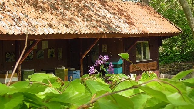 NETHERLANDS castle Cannenburch (Gelderland) смотреть онлайн