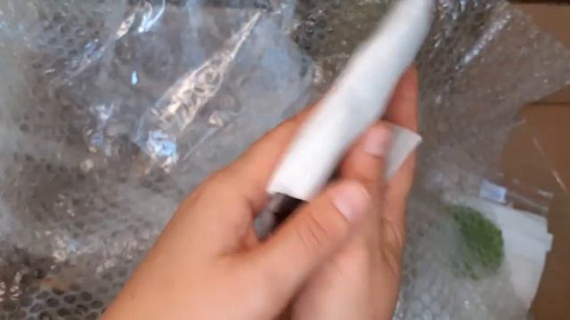 Распаковка посылки с бегониями смотреть онлайн