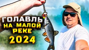 Голавль на спиннинг 2024. Ловля голавля на маленькой реке в Нижегородской области. р. Алатырь.