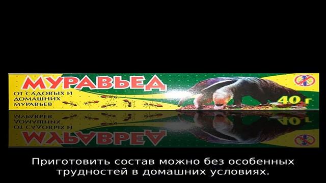 Муравьи в теплице — как от них избавиться смотреть онлайн