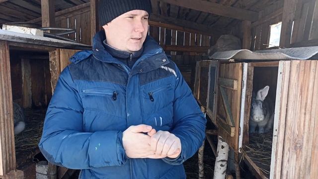 Клеточное содержание кроликов зимой!!! [как кролики переносят морозы на улице!?]