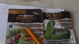 как разводить эпин и циркон для обработки орхидей