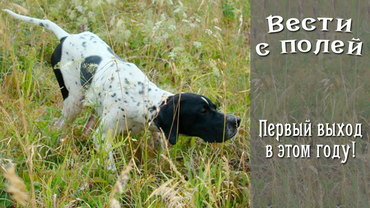 Первая натаска в этом сезоне. смотреть онлайн