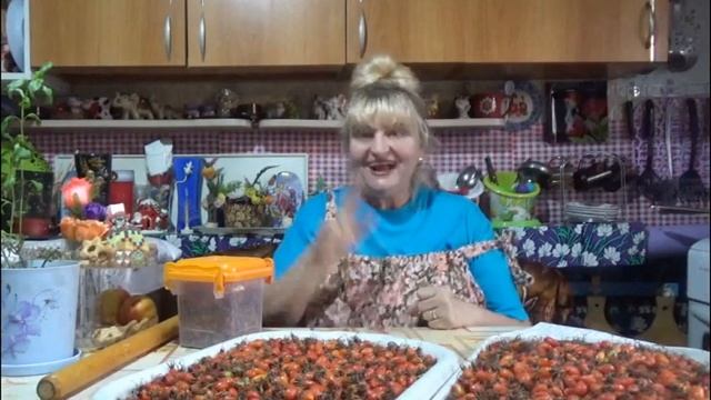Полезные плоды Шиповник