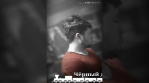 Черный дельфин