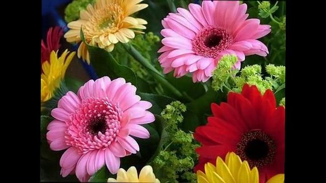 ТЫ ЦВЕТЫ ПОДАРИЛ БЕЗ ПРИЧИНЫ смотреть онлайн