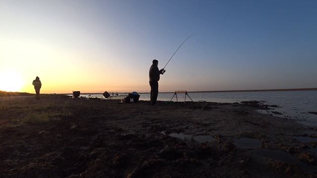Ловим карпят на водохранилище.Фронтовое,Крым. смотреть онлайн