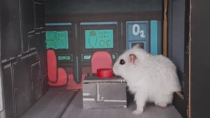 Приключения Хомы! \\ Хомячок ХОМА Проходит лабиринт "АмонгАС" - найдет ли Хома предателя?!