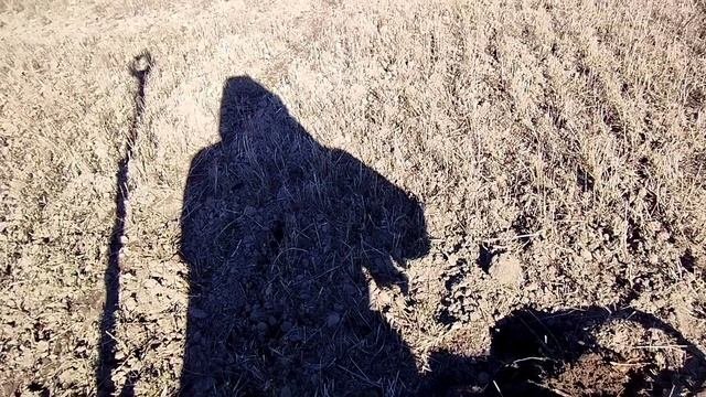 Нашёл Монеты металлоискателем, неплохие находки