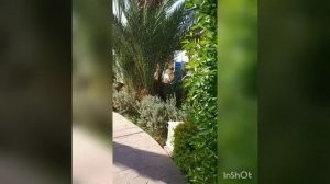 Сафага / Лотус Бей / Египет