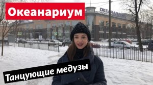 Единственный Океанариум в Петербурге | Сходи Посмотри на танцующих медуз и морских красавцев