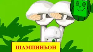 Ягоды и грибы.mp4
