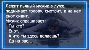 Пьяный мужик думал, что поймал белочку, а тут такое. Смешные анекдоты для отличного настроения.
