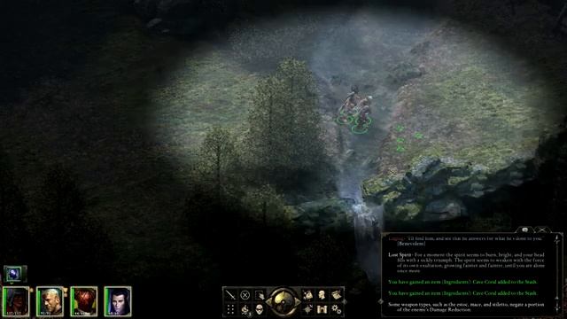 Let's Play - Pillars of Eternity - 7 смотреть онлайн