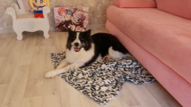 Швейный влог. Заказы, новинки, распаковка. Daily Routine. смотреть онлайн